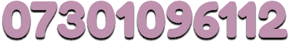 07301 096 112
